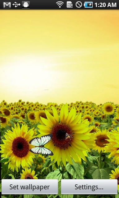 Sunflower LW Free + weather截图4