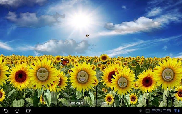 Sunflower LW Free + weather截图1