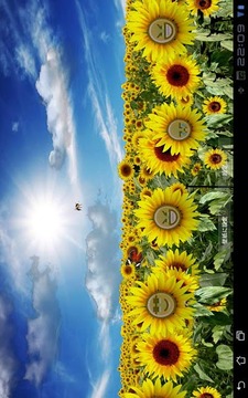 Sunflower LW Free + weather截图