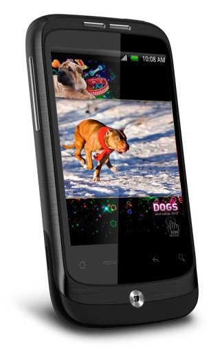 Sweet Dogs HD Live Wallpaper截图1