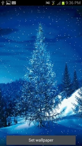 Christmas Tree LWP Free!截图2