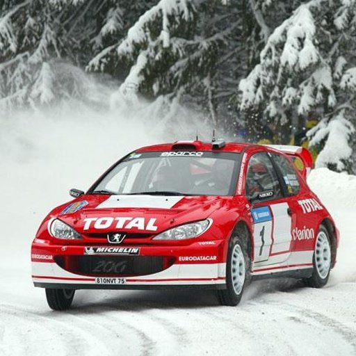 WRC World Rally Car Racing截图6