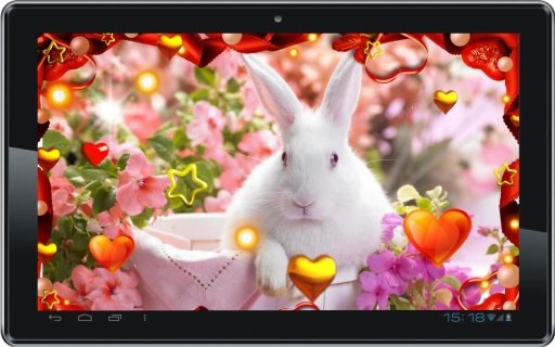 Valentine Rabbits HD LWP截图5