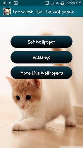 Innocent Cat Live Wallpaper截图5