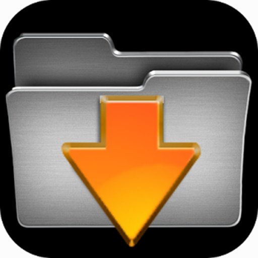 Best Manager Video Downloader截图2