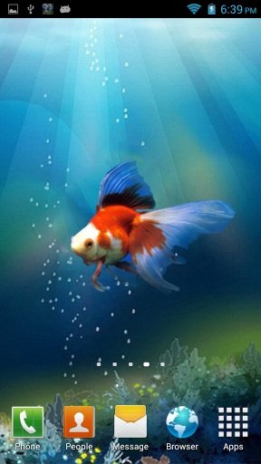 Goldfish In Your Pocket LWP截图5