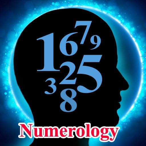 Numerology Decode Your Destiny截图3