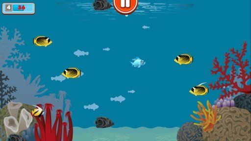 Grumpy Fish截图6