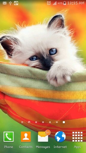 Innocent Cat Live Wallpaper截图6