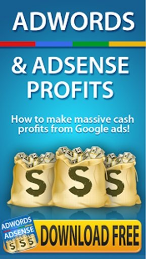 的Adwords PPC免费利润截图1