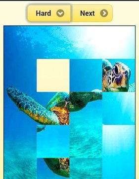 Sea turtle Jigsaw Puzzles截图
