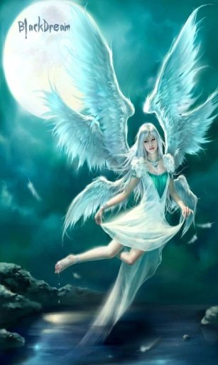 3D Angels Live Wallpaper截图1