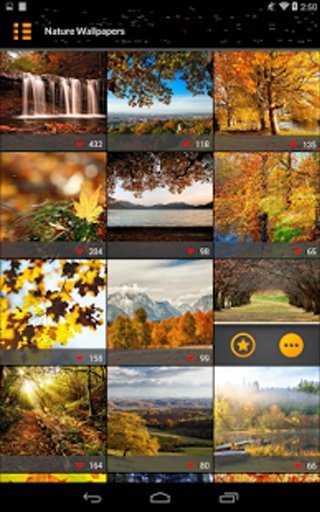 HD - Nature Wallpapers截图1