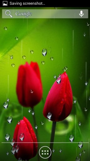 Flowers Rain Fall Wallpaper截图3