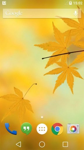 Fallen Leaves Live Wallpaper截图6