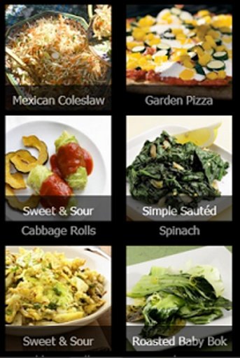 Healthy Vegetable Diet Recipes截图5