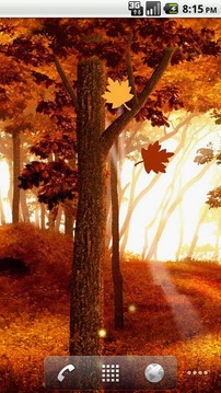 Autumn Leaves Live Wallpaper截图