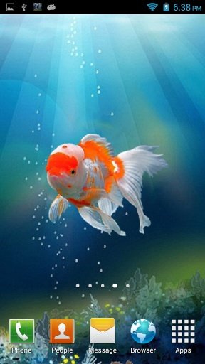 Goldfish In Your Pocket LWP截图4