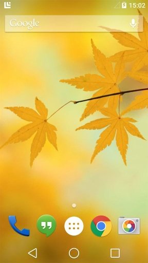 Fallen Leaves Live Wallpaper截图2