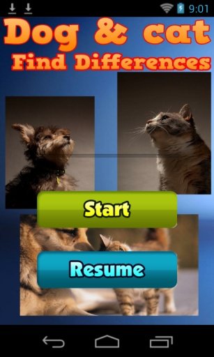 Find Differences: Dogs &amp; Cats截图1