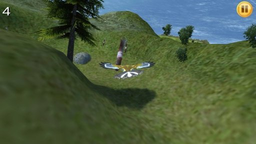 Bird Fly High 3D截图3