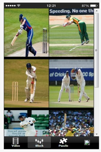 Cricket WorldCup截图2