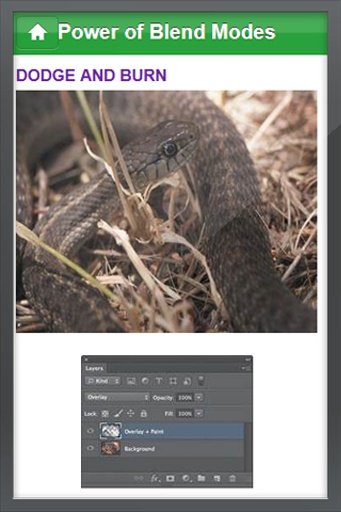 Photoshop 2013 Tutorial截图1