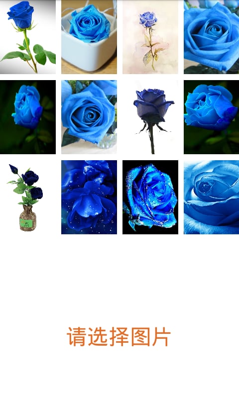 拼图之蓝玫瑰截图1