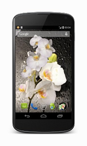 Orchid live wallpaper截图7