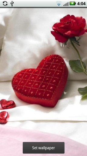 Valentine's Day HD Wallpaper截图4