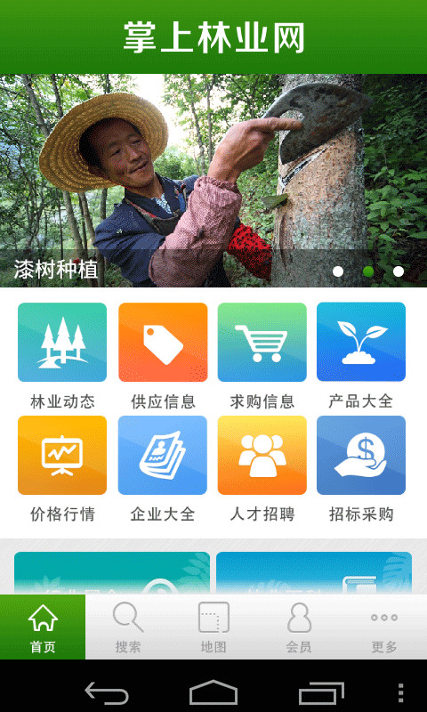 掌上林业网截图1