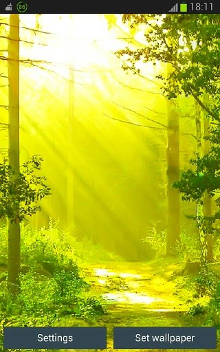 Green Forest Wallpapers App截图2