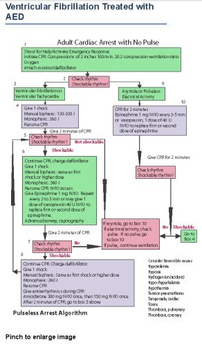 ACLS Provider Manual Free AHA截图3