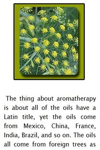 Aromatherapy classes截图4