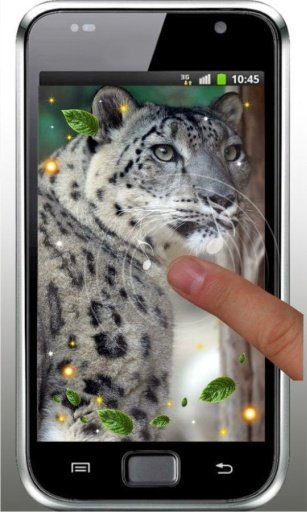 Snow Leopard live wallpaper截图1