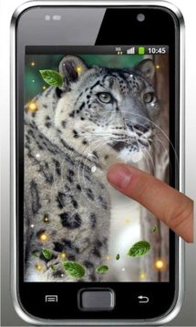 Snow Leopard live wallpaper截图