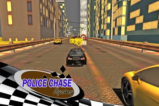 3D Police Chase截图7