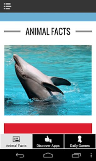 Animal Facts截图2
