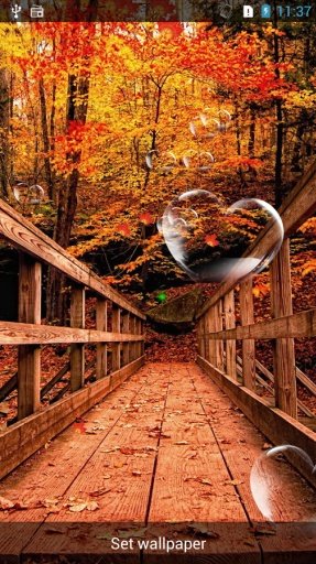 My Autumn live Wallpaper截图1