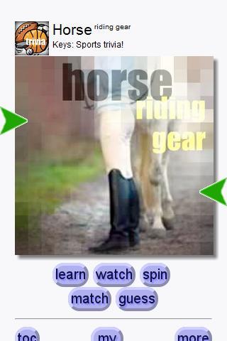 Horse Gear截图1