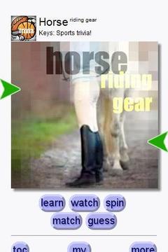 Horse Gear截图