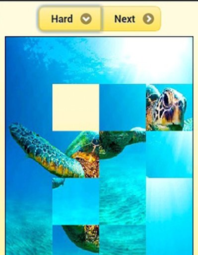Sea turtle Jigsaw Puzzles截图1