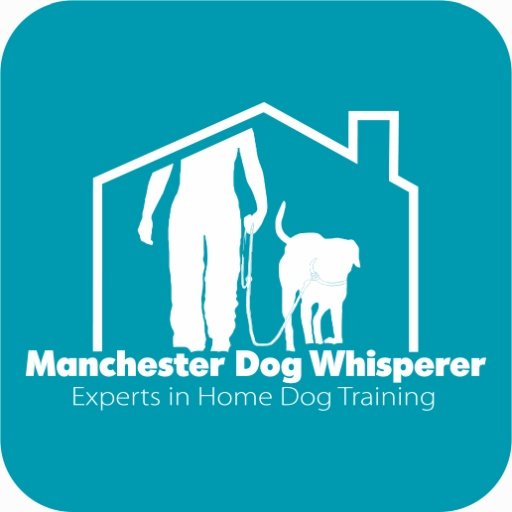 Manchester Dog Whisperer截图1