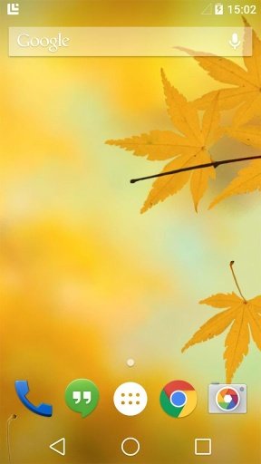 Fallen Leaves Live Wallpaper截图4