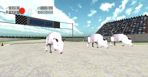 Animal Racing: Pig截图2