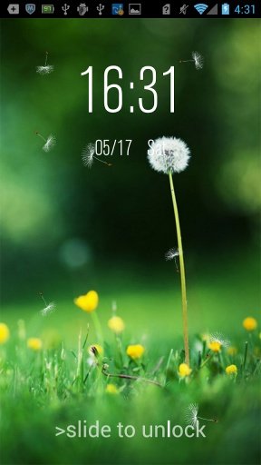 Dandelion Lock截图3