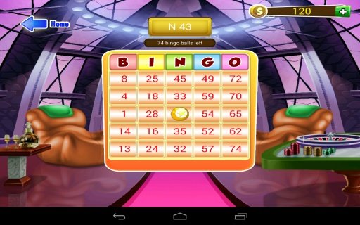 Video Bingo Fortune Play截图1