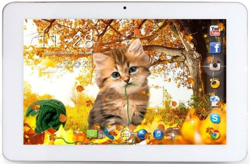 Autumn Kitty HD live wallpaper截图3