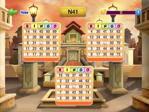 Video Bingo Fortune Play截图5