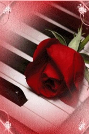 Red Rose On The Piano截图2